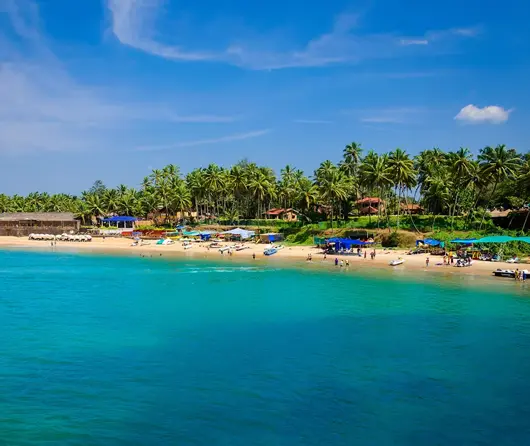 Palm-lined beach in Goa at golden hour